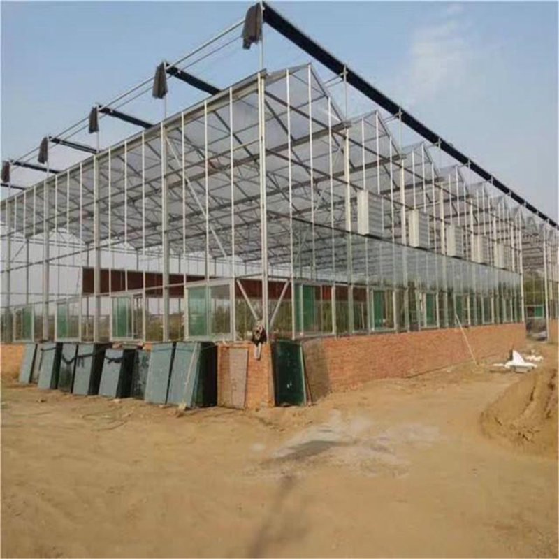 温室大棚建设:农业生产的绿色革命