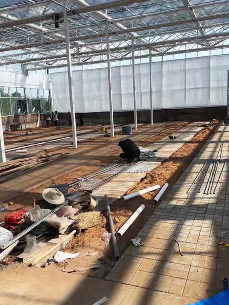 青州温室工程:现代种植技术的创新与突破