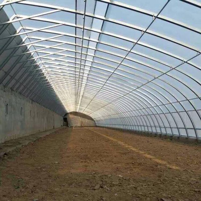 连栋温室造价揭秘：打造现代农业高效生产模式