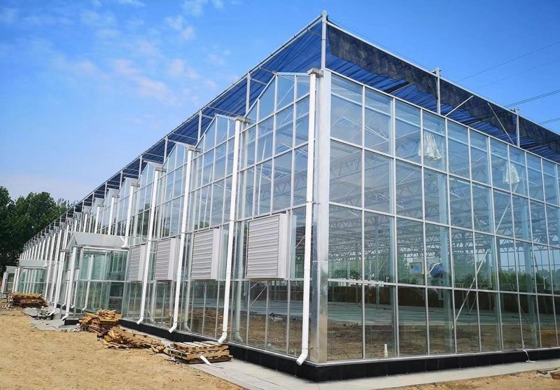 连栋温室造价解析:现代农业种植的秘密武器