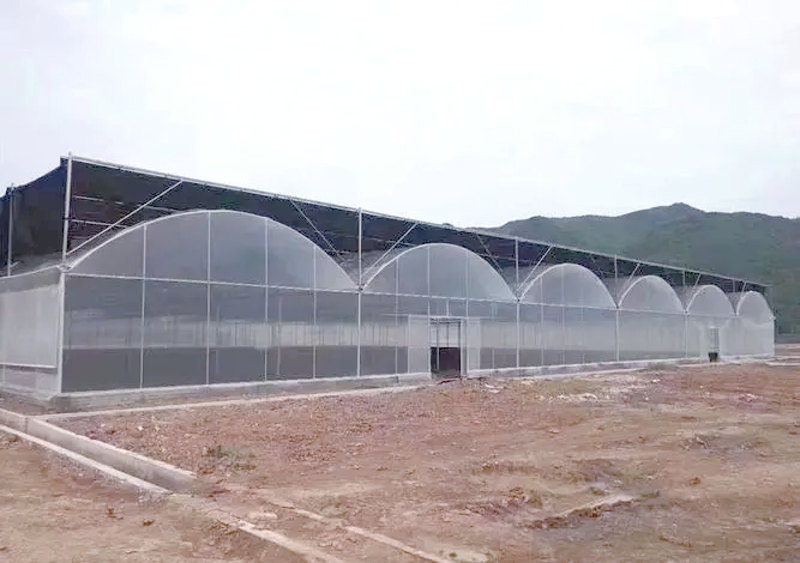 青州温室工程助力农业现代化