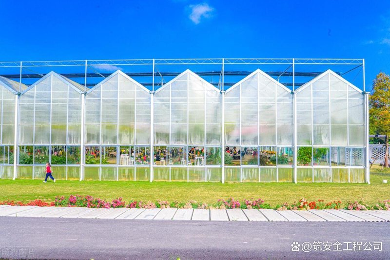 智能温室造价解析:推动现代农业发展