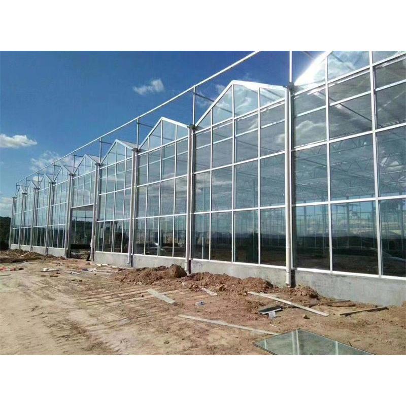 现代农业技术:温室大棚建设的重要性