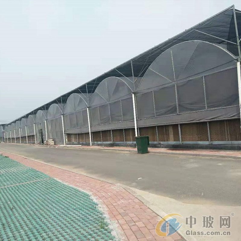 连栋温室造价