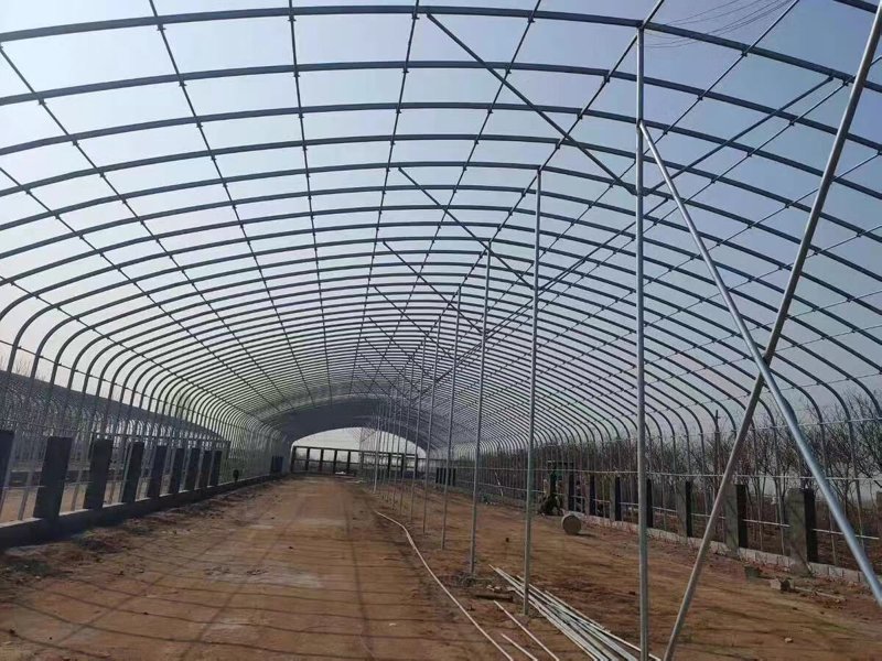 探索现代农业新天地：温室大棚建设前景分析
